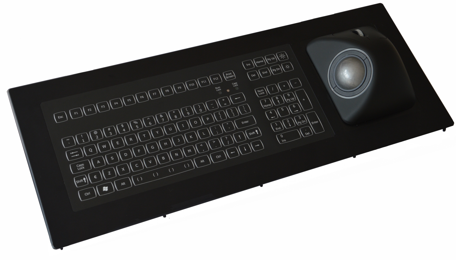 Backlit keyboard with ergonomic trackball panel mount NSI